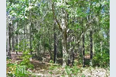 3312 S McKoy Road, Villa Rica, GA 30180 - Photo 13