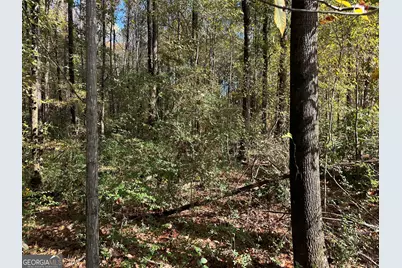 3600 Union Church Road SW, Stockbridge, GA 30281 - Photo 7