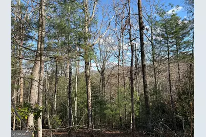 Lot 86 Lookout Ridge, Mineral Bluff, GA 30559 - Photo 7