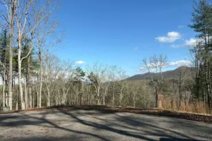 Lot 86 Lookout Ridge, Mineral Bluff, GA 30559 - Photo 1