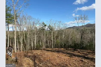 Lot 86 Lookout Ridge, Mineral Bluff, GA 30559 - Photo 3