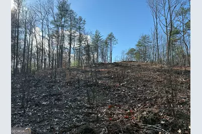 Lot 86 Lookout Ridge, Mineral Bluff, GA 30559 - Photo 5