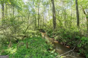 205 Hidden Brook Trail, Newnan, GA 30263 - Photo 41