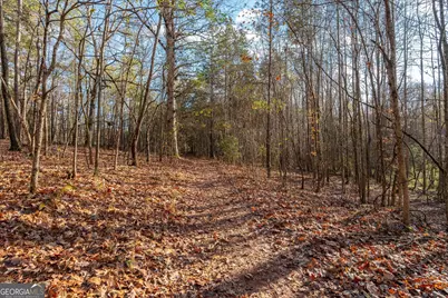 205 Hidden Brook Trail, Newnan, GA 30263 - Photo 33