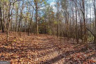 205 Hidden Brook Trail, Newnan, GA 30263 - Photo 33