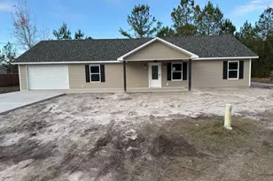 53 Hawks Pl, Waynesville, GA 31566 - Photo 1