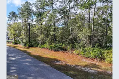 Lot 1 Turtle Dove Way, Waverly, GA 31565 - Photo 13