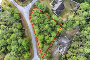 Lot 1 Turtle Dove Way, Waverly, GA 31565 - Photo 1