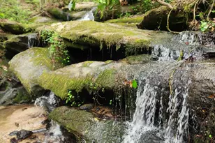 200 Abner Rd, Franklin, GA 30217 - Photo 93