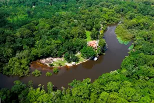 2420 Hickory Bluff Rd, Brooklet, GA 30415 - Photo 7