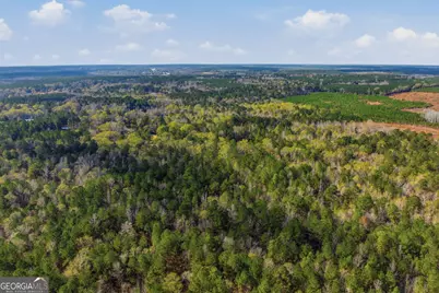 265 Jordan Meadow Lane, Sandersville, GA 31082 - Photo 53