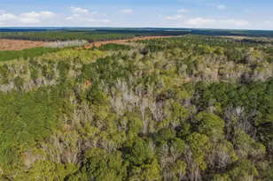 265 Jordan Meadow Ln, Sandersville, GA 31082 - Photo 49