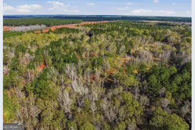 265 Jordan Meadow Lane, Sandersville, GA 31082 - Photo 41