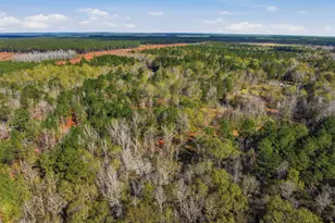 265 Jordan Meadow Ln, Sandersville, GA 31082 - Photo 41