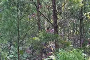 18 S Skyline Dr, Braswell, GA 30153 - Photo 1