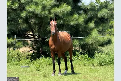 718 Jamestown Road, Cordele, GA 31015 - Photo 33