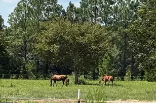 718 Jamestown Rd, Cordele, GA 31015 - Photo 41