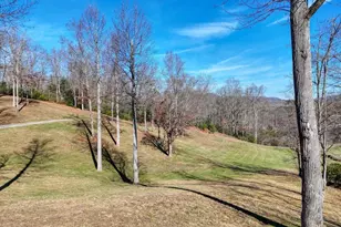 215 Harmony Ln, Hiawassee, GA 30546 - Photo 75