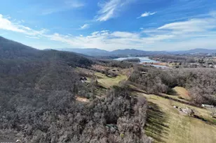 215 Harmony Ln, Hiawassee, GA 30546 - Photo 69