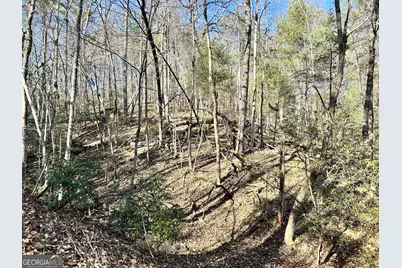 0 Bahn Innsbruck, Helen, GA 30545 - Photo 5