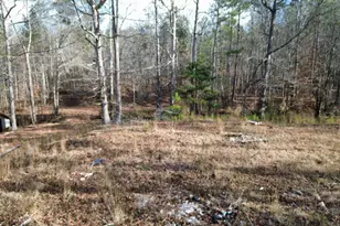 881 S Little New York Trail, Whitesburg, GA 30185 - Photo 1