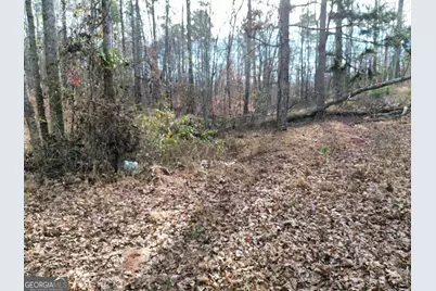 881 S Little New York Trail, Whitesburg, GA 30185 - Photo 5