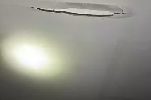 5441 Stirrup Way, Powder Springs, GA 30127 - Photo 15