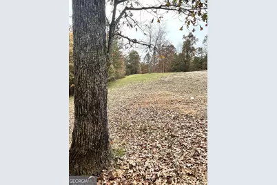 0 Hellyer Drive, Cleveland, GA 30528 - Photo 25