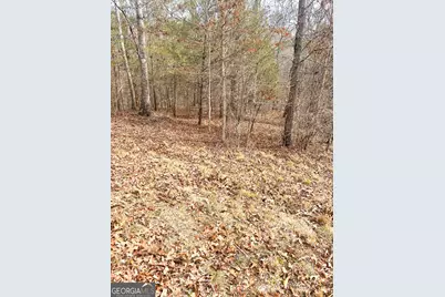 0 Hellyer Drive, Cleveland, GA 30528 - Photo 7