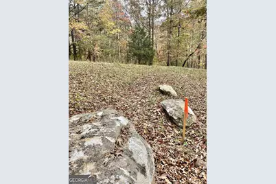 0 Hellyer Drive, Cleveland, GA 30528 - Photo 27