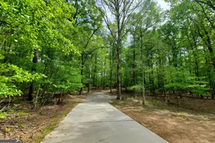 453 Jackson Lake Inn Rd, Jackson, GA 30233 - Photo 5