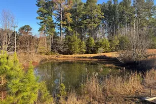 1719 Tallapoosa Hwy, Cedartown, GA 30125 - Photo 13