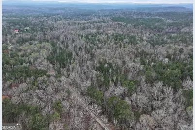 0 Hopeful/Cheaha Road #LOT 4, Munfurd, AL 36268 - Photo 5