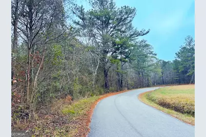 0 Hopeful/Cheaha Road #LOT 4, Munfurd, AL 36268 - Photo 33