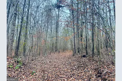 0 Hopeful/Cheaha Road #LOT 4, Munfurd, AL 36268 - Photo 31