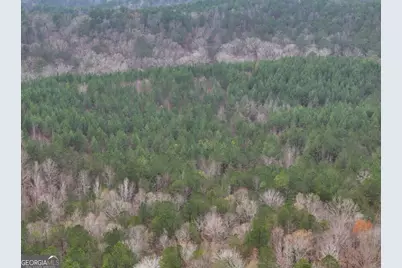 0 Hopeful/Cheaha Road #LOT 4, Munfurd, AL 36268 - Photo 21