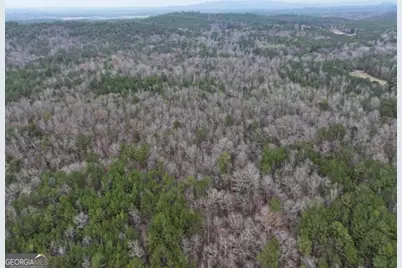 0 Hopeful/Cheaha Road #LOT 4, Munfurd, AL 36268 - Photo 7