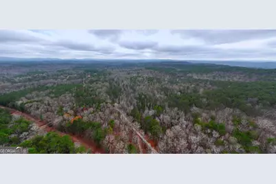 0 Hopeful/Cheaha Road #LOT 4, Munfurd, AL 36268 - Photo 3