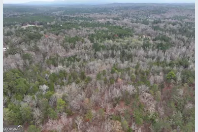 0 Hopeful/Cheaha Road #LOT 4, Munfurd, AL 36268 - Photo 11