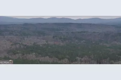 0 Hopeful/Cheaha Road #LOT 4, Munfurd, AL 36268 - Photo 23