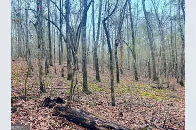 0 Hopeful/Cheaha Road #LOT 4, Munfurd, AL 36268 - Photo 29