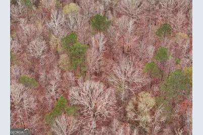 0 Hopeful/Cheaha Road #LOT 4, Munfurd, AL 36268 - Photo 13