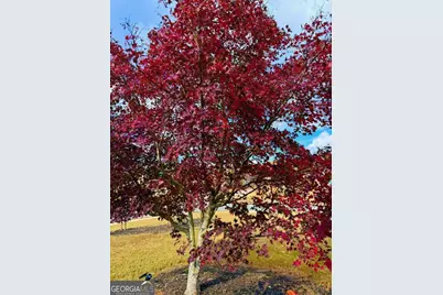 149 Presidents Way, Forsyth, GA 31029 - Photo 23