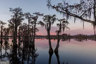 51 W Howell Dr, Lakeland, GA 31635 - Photo 29