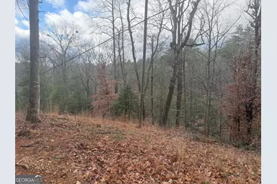 0 Corinth Church Road, Cleveland, GA 30528 - Photo 3