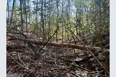 0 Corinth Church Road, Cleveland, GA 30528 - Photo 9