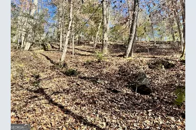 0 Corinth Church Road, Cleveland, GA 30528 - Photo 1