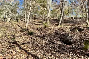 0 Corinth Church Rd, Cleveland, GA 30528 - Photo 1