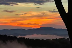 195 Hoot Owl Ridge, Morganton, GA 30560 - Photo 3