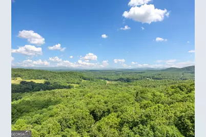 195 Hoot Owl Ridge, Morganton, GA 30560 - Photo 41